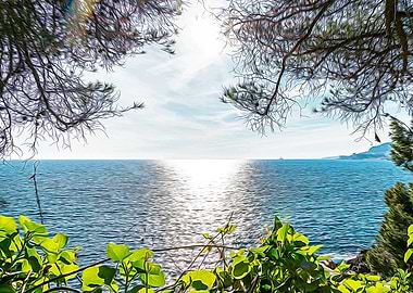 Seacoast of Cap Martin
