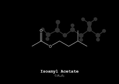 Isoamyl Acetate