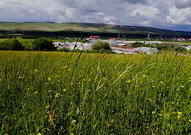 Summer in the country