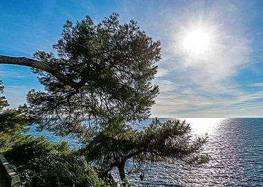 Seacoast of Cap Martin