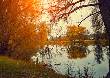 Autumn Background Beam Bea