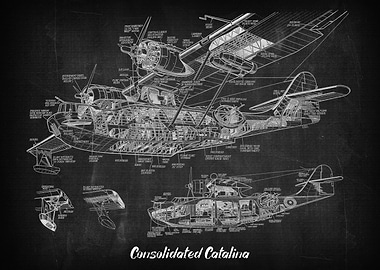Consolidated Catalina