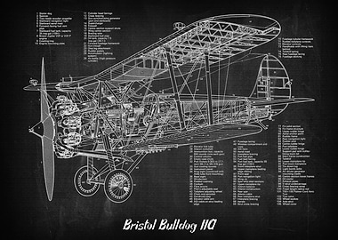 Bristol Bulldog IIA