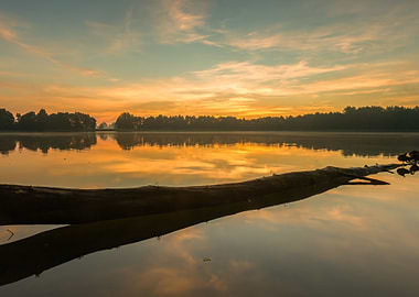 Shine Rural Silence Silhou