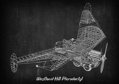 WestlandHill Pterodactyl