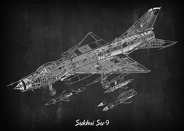 Sukhoi Su9