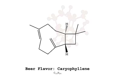 Caryophyllene