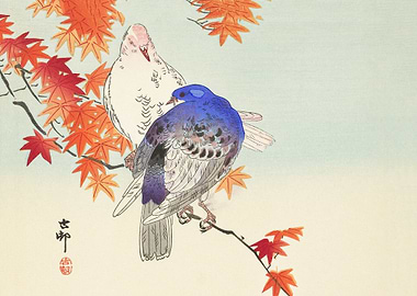 Two pigeons on autumn branch