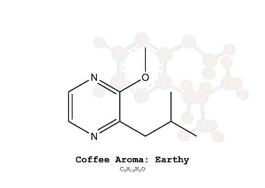 Coffee Aroma Earthy