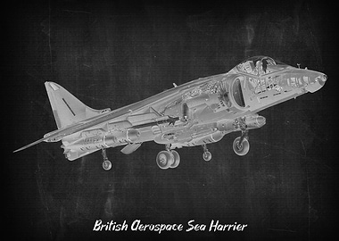 British Aerospace Sea Harr