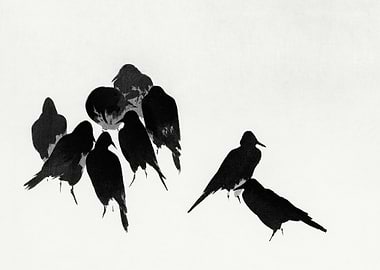 Japanese crows