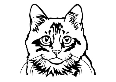 Cat with Line Art Style