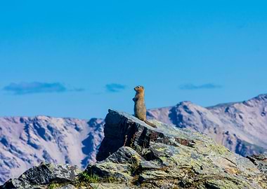 King of the Mountain