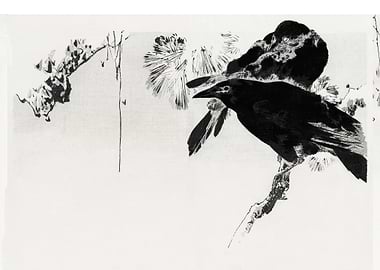 Japanese crows
