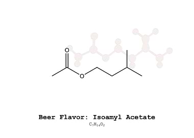 Isoamyl Acetate