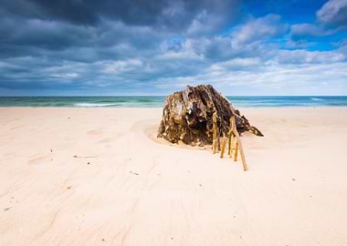 Baltic Beach Beautiful Bea