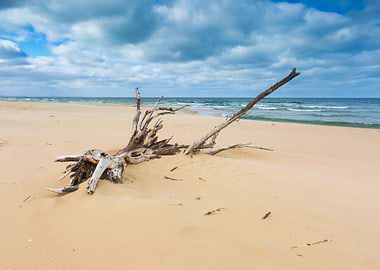 Baltic Beach Beautiful Bea