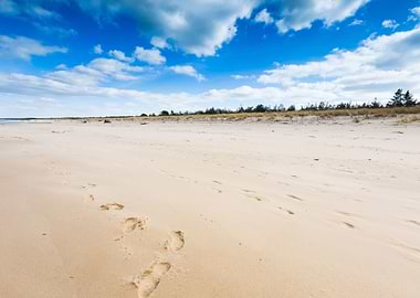 Baltic Beach Beautiful Bea