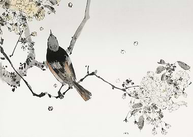 Perched Japanese swallow