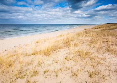 Coast Grass Sand Sea Beach