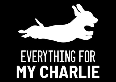 Dachshund Charlie Animal R