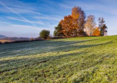 Environment Sky Landscape