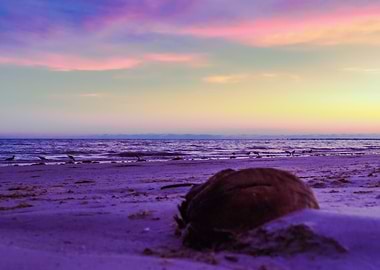 Sunset at the Beach