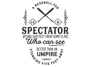 A baseball fan