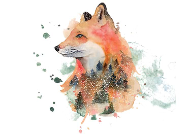fox