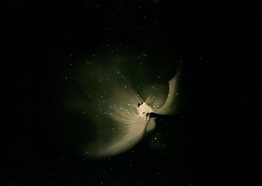 The great nebula in Orion