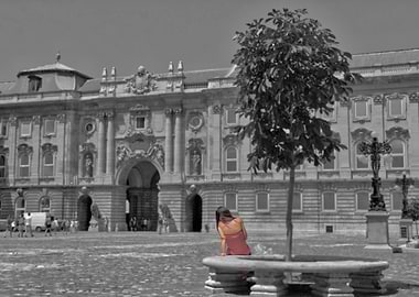 The Woman in Budapest