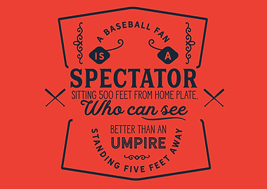 A baseball fan