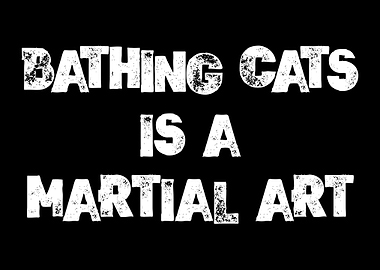 Bathing Cats Martial Art
