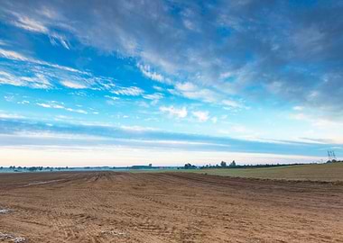 Organic Plant Plow Nature