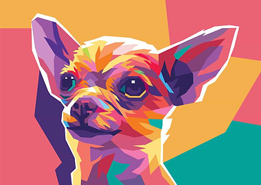 CHIHUAHUA SHORT HAIR