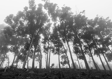 Cape Town South Africa