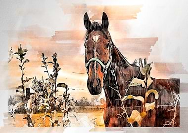 horses watercolor
