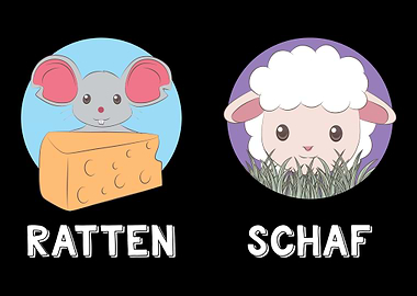 Ratten Schaf Scharf