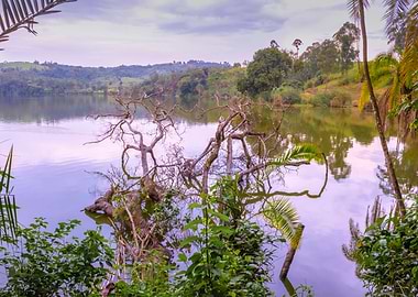 Lake at sunrise Uganda