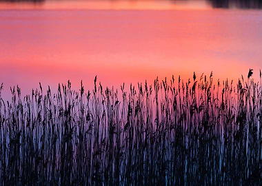 Nature Lake Sunset Landsca
