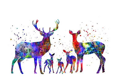 Deer family