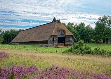 Farmhouse in the heath