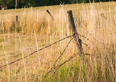 Grass Field Fence Landscap