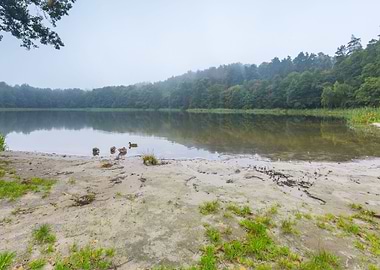 Water River Lake Landscape