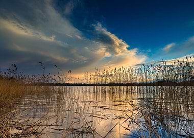 Nature Lake Sunset Landsca