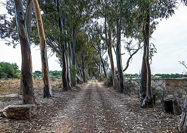Dirt road in countryside