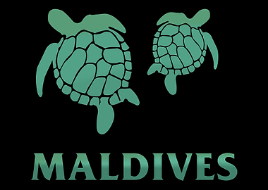 Maldives Summer Tourist