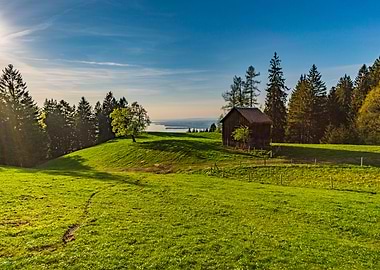 Idyllic meadow with view