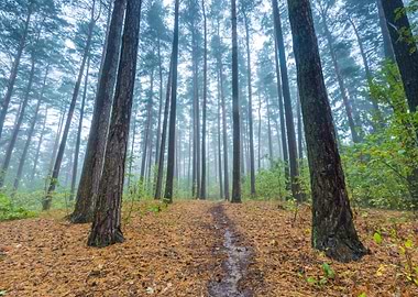 Season Landscape Nature Pa