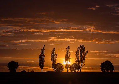 Outdoor Photography Sunlig